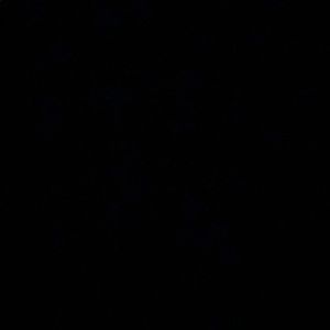 Meet your Posher, Tierney